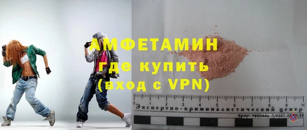 хмурый Магас