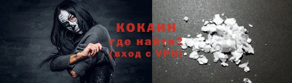 хмурый Магас