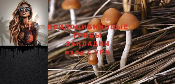 дмт Мегион