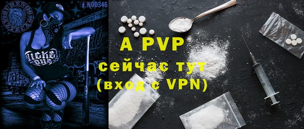 гидра Майский