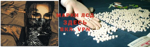 хмурый Магас