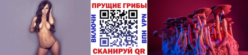 как найти закладки  Углич  Псилоцибиновые грибы MAGIC MUSHROOMS 
