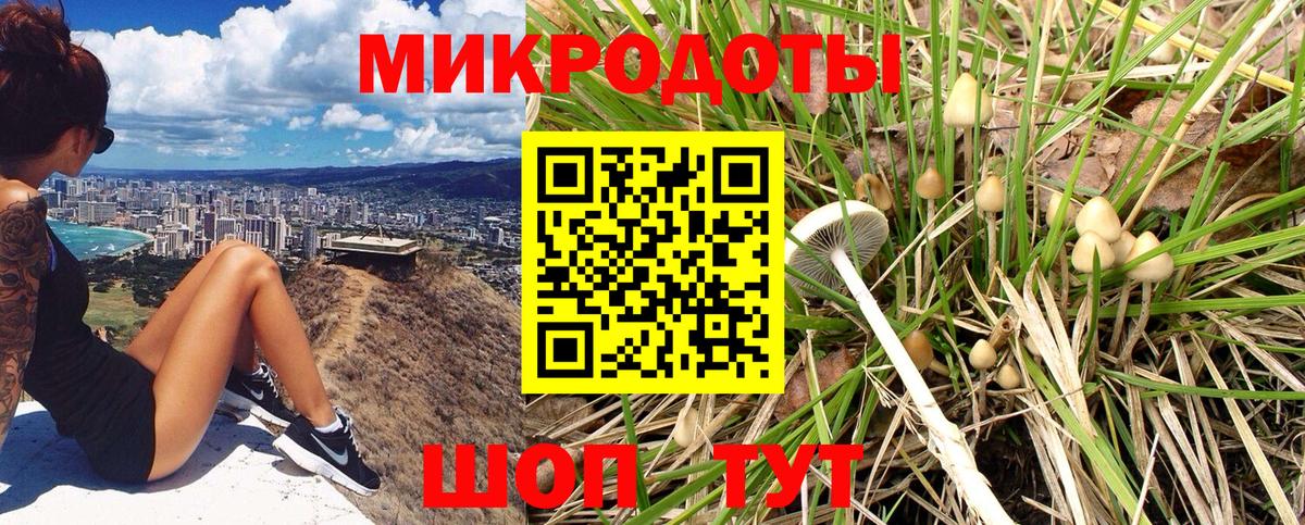 Углич  Псилоцибиновые грибы Cubensis  Вход с VPN 
