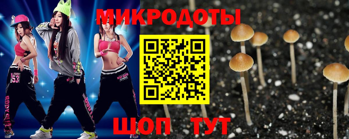 Галлюциногенные грибы Magic Shrooms Углич